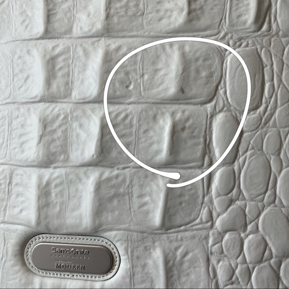 Alexander McQueen x Samsonite Black Label Limited Edited Luggage - Picture 14 of 16